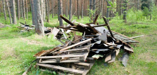 Debris Removal Service in Chico